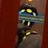 Jumpscare Warning Murder Drones Meme