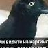 Пора бросать юмор смех прикол