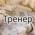 Аййй доля воровская