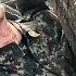 Социальный видеоролик О ВОЙНЕ 9 мая День победы