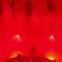 Igorrr Downgrade Desert Live La Rodia 2023