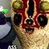 When You Finally Catch Peanut Scp173 Scp