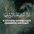 Сура аль Кадр Предопределение аяты 1 5 Quran коран Islam