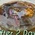Make Easy And Free Organic Liquid Fertilizer From Kitchen Wastes Shorts