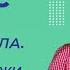 Покровы тела Строение и функции кожи Видеоурок 26 Часть 1 Биология 8 класс