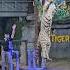 เส อกระโดด Chiangmainightsafari