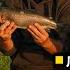 Ловим форель засада с фидером или поиск со спиннингом Алексей Фадеев Anglers Practical