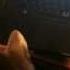 My Cat S Reaction To Meow Mix By Cyriak