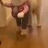 Killer Dog A Bark In The Dark Viral Dogs Shorts Funnydogs Cutedogs