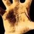System Of A Down CUBErt HD