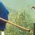 Paws Of Fury The Legend Of Hank Now Streaming Paramount