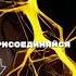 Новые нейронные связи нейронныесвязи медитация саморазвитие медитация богатство