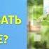 6 советов как сформулировать намерение