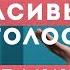 Красивый голос за 5 минут