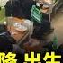 中國連續三年總人口下降 大量青年兒童被病毒帶走 官方數據嚴重造假