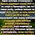 Схватка с Медведем Тайга в Шоке Рекорд историяизжизни Охота
