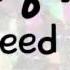 Twice TT Speed Up