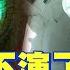 央視不演了 陸亮核長城底牌 全球大視野 精華版 全球大視野Global Vision