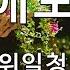애모 위일청