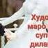 Суруди эрони ошики 2019 не забудь подписаться сматри дальше