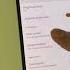 Google Pixel Turn ON Always On Display Googlepixel Googlepixel Pixelphone Googlepixel9 Pixel9