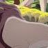 Nala X Kovu Ｉｎ ｔｈｅ ｅｎｄ CROSSOVER Part 4