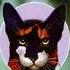 Long Shadows Warriors 3 Power Of Three 5 Erin Hunter