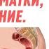 АЁЛ МАТКАСИ ТУШИШИ ОПУЩЕНИЕ МАТКИ САБАБЛАРИ БЕЛГИЛАРИ АЁЛЛАР МАТКАМ ТУШМАСИН ДЕСАНГИЗ КЎРИБ ҚЎЙИНГ
