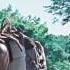 Richonne The Devil S Tears