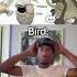 When The Bird Sees This