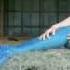Mermaid Beyond The Sea 美人魚