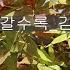 7080 추억의 노래 가을에 듣는 날이 갈수록 김정호 가사포함 연속듣기