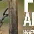 Full Documentary Fences Around Us