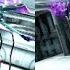 Mag Prime Pneuma Color Scheme