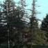 США 1526 Foothill Expressway Fremont Avenue