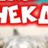 Сборник анекдотов 6 Анекдоты