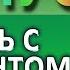 БОНУС Связь с аккаунтом AdWords Иванова Екатерина