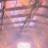 Aversion Reflected Reality Shockerz 2023 Anthem Elektrum 2023
