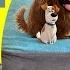 Giant PETS Surprise Egg With Toys From The Movie By HobbyKidsTV