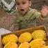 ક ચ ક ર ન ઉઝબ ક સ ત ન અલ ખ ન Xom Mango Ne Alixon Shorts Havasguruhi India Kinjaldave Viral Short