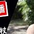 泰國X檔案 泰國古巴島大師燃蠟法會现场直播 古巴洗威猜亲传法杖加持 缅怀古巴磐石大师 赠送古巴磐石大师坤平圣物 古巴洗威猜 古巴島 坤平佛牌 古巴磐石