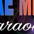 REGGAE MEDLEY Various Artist Karaoke