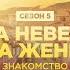 ПРЕМЬЕРА Прыжок веры Виза невесты Виза жениха Знакомство TLC
