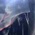 THE HARDKISS Japanese Dancer Official Digital Art Video