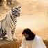 Believe In God Life Returns Where Hope Was Lost