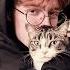 Cavetown Boys Will Be Bugs Sped Up Nightcore