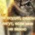 Я не мог не сделать этот тренд кошечки хорошие лишнего не скажут котики