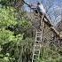 My Submission For Dumb Ways To Die Woodworking Carpentry Chainsawman Tree