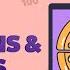 Fractions And Decimals Class 7 Maths Complete Chapter Unit Test BYJU S Class 7