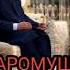 Марди зандор зино кунад чи мешавад Хочи Мирзо Саволу чавоб 2020